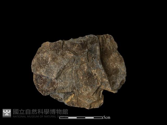 打製石器藏品圖，第2張