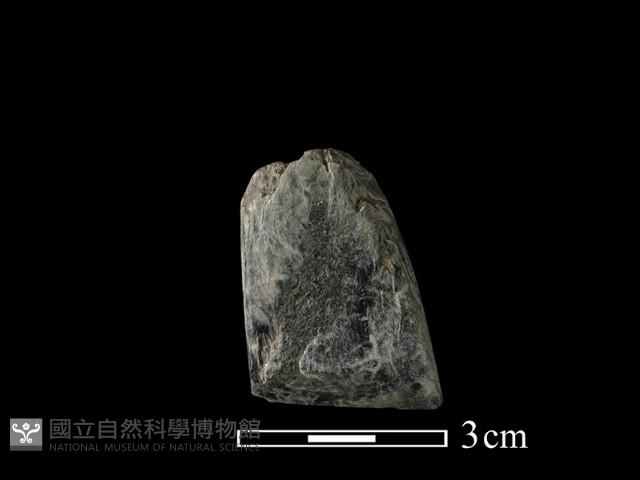 錛鑿形器藏品圖，第2張