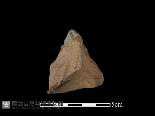 連杯形器藏品圖，第2張
