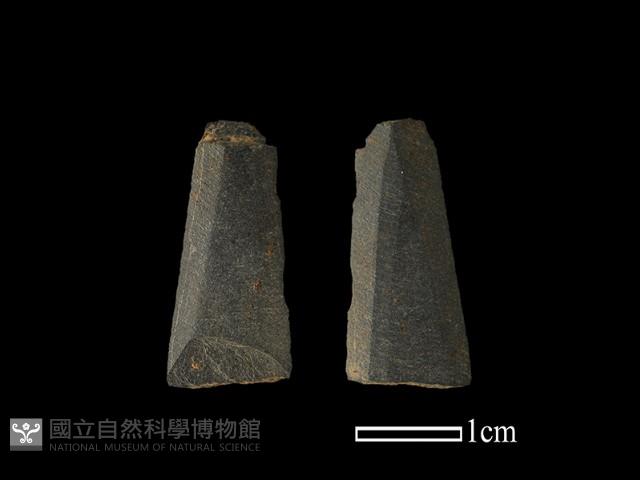 矛鏃形器藏品圖，第1張