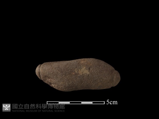 網墜藏品圖，第1張