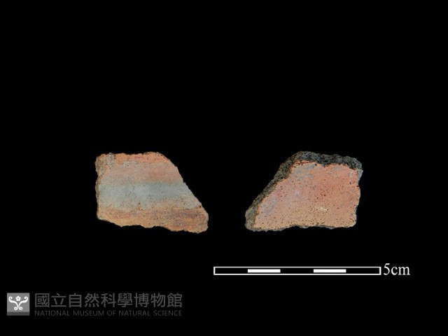 陶片藏品圖，第1張
