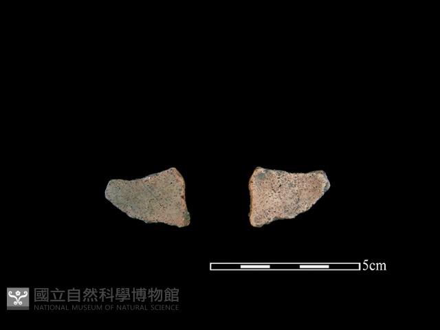 陶片藏品圖，第1張