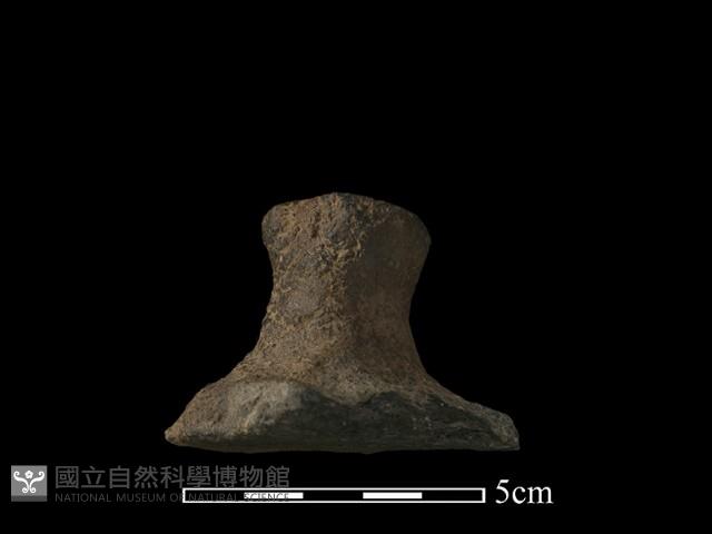 陶蓋鈕藏品圖，第2張