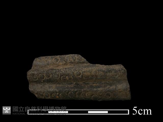 陶罐藏品圖，第2張