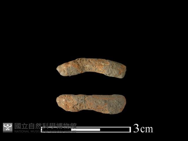 陶環藏品圖，第1張