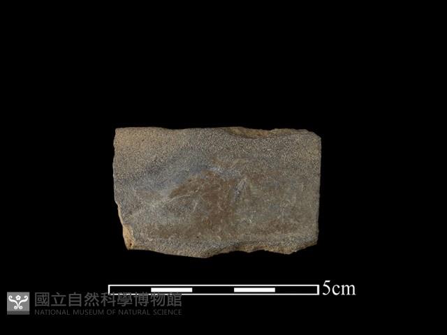 磨製石器藏品圖，第1張