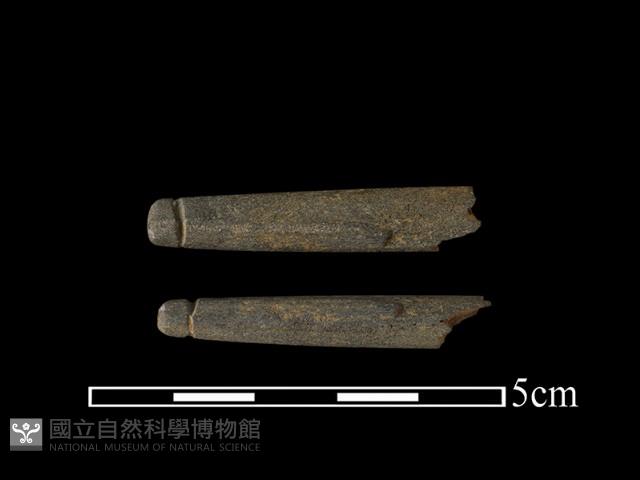 網墜藏品圖，第1張