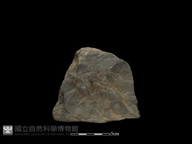 斧鋤形器藏品圖，第1張