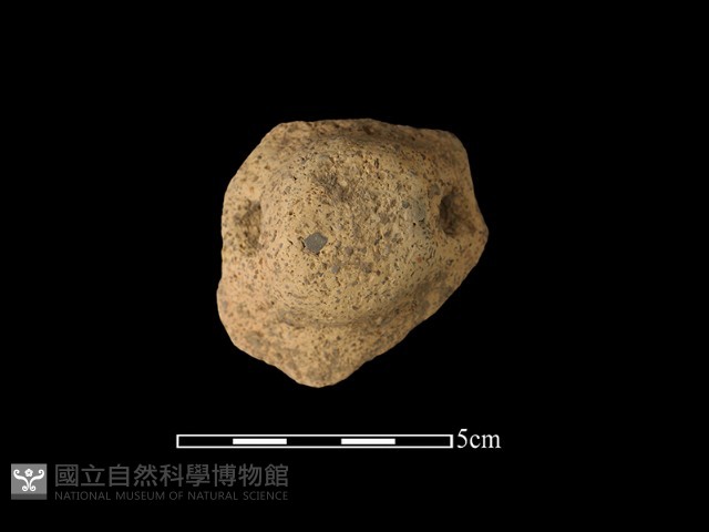 陶把藏品圖，第2張
