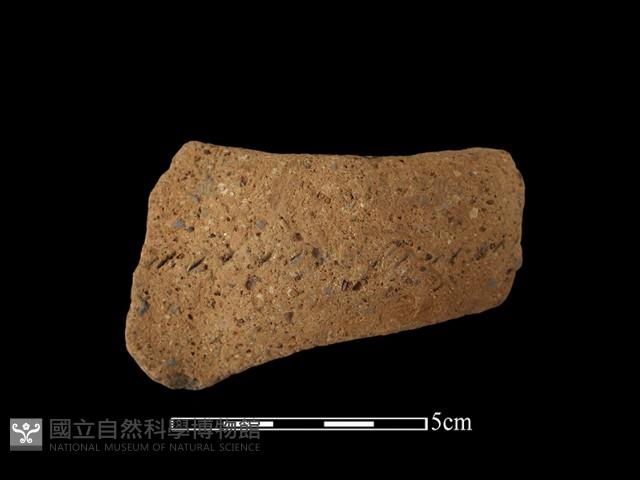 陶把藏品圖，第1張