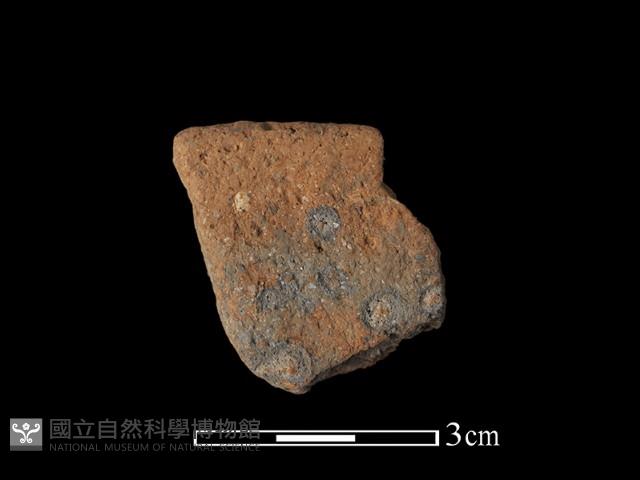 陶片藏品圖，第1張