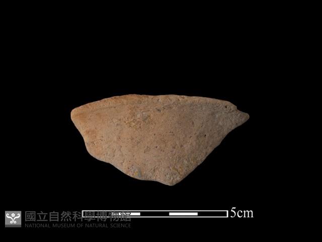 陶片藏品圖，第2張