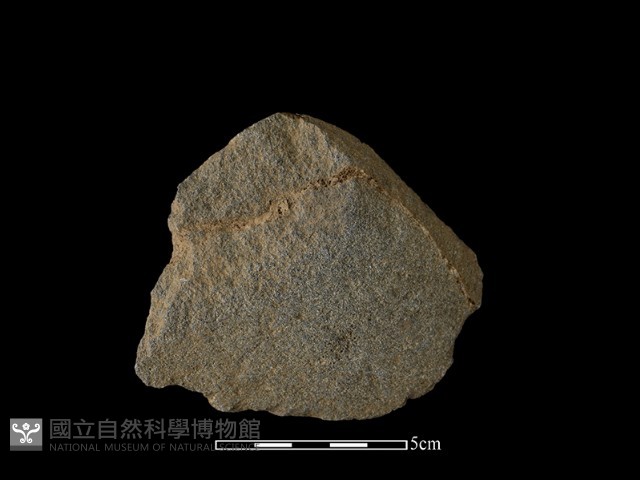 石片器藏品圖，第2張