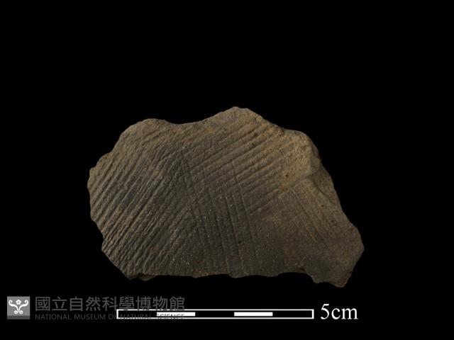 陶片藏品圖，第1張