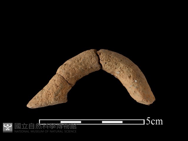 陶把藏品圖，第1張