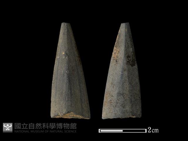 矛鏃形器藏品圖，第1張