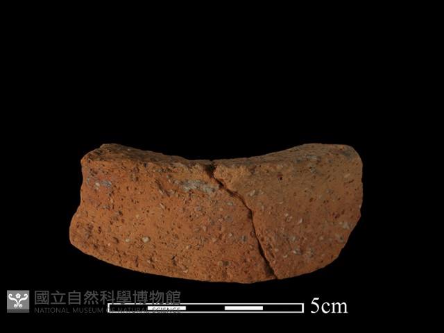 陶片藏品圖，第1張