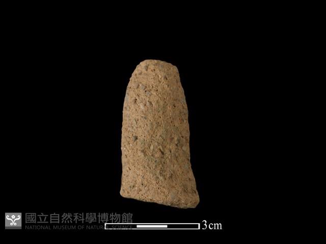 陶蓋鈕藏品圖，第1張