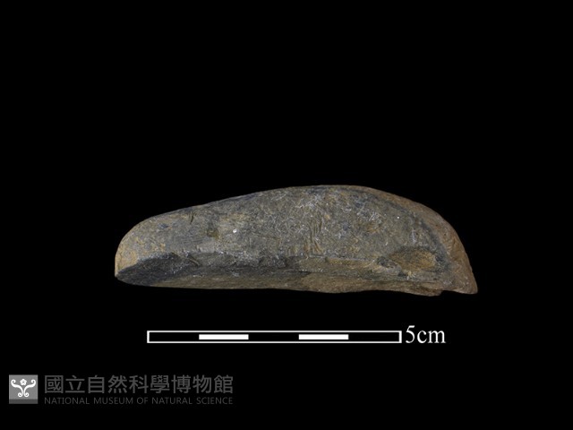 帶加工痕石材藏品圖，第1張