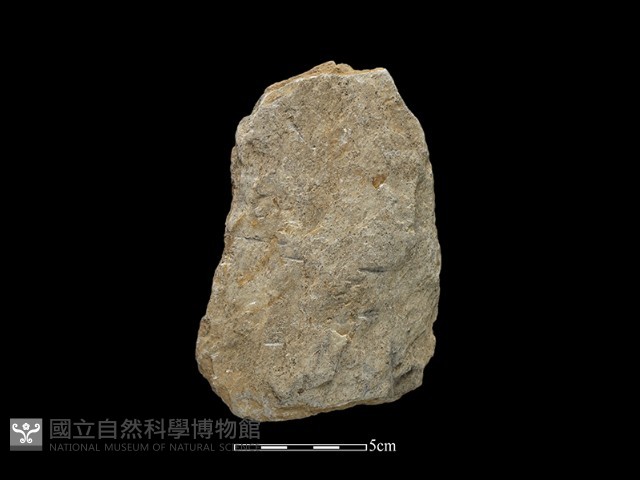 斧鋤形器藏品圖，第1張