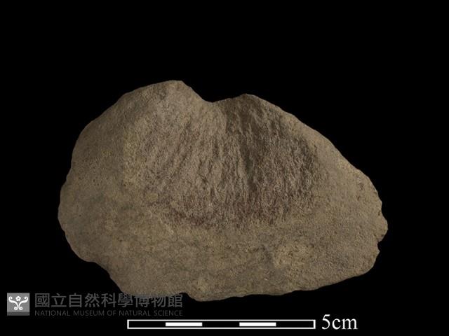 斧鋤形器藏品圖，第2張