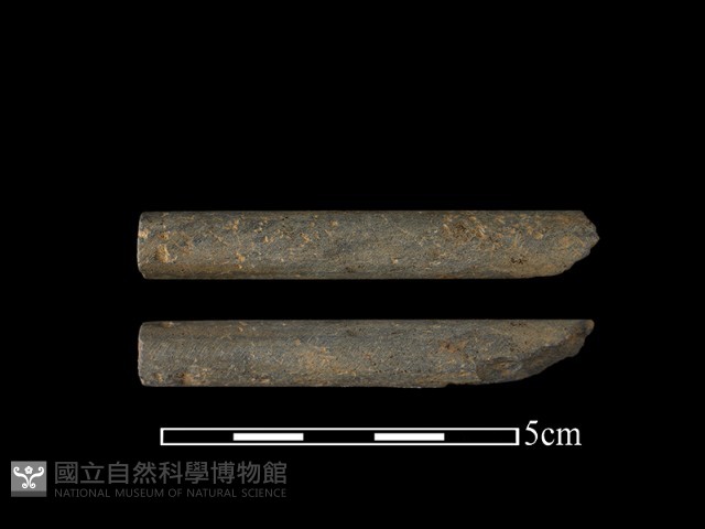 磨製石器藏品圖，第1張