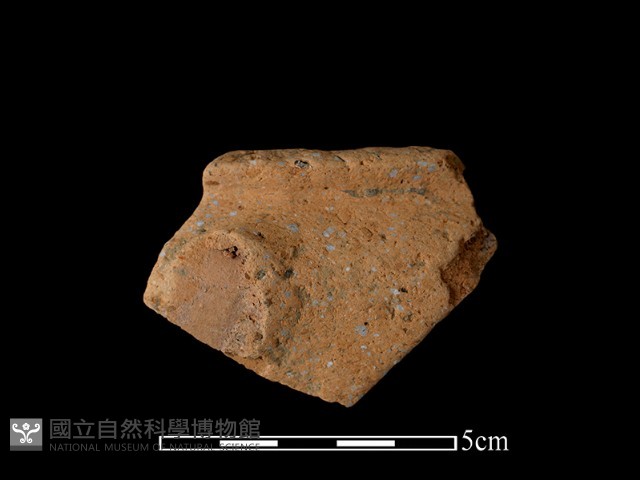陶罐藏品圖，第2張