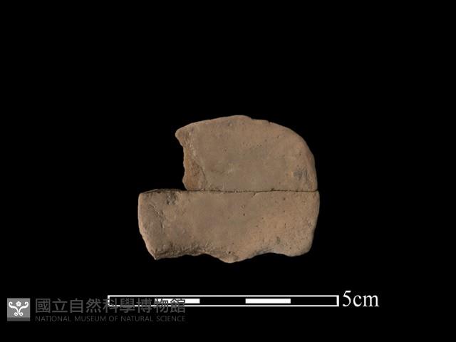 陶片藏品圖，第2張