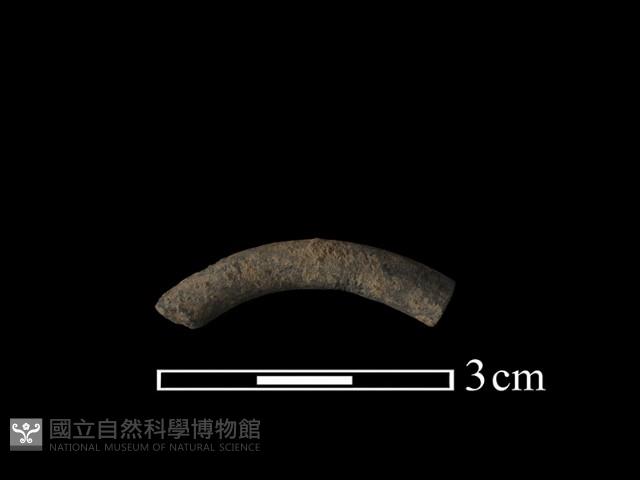 陶環藏品圖，第2張