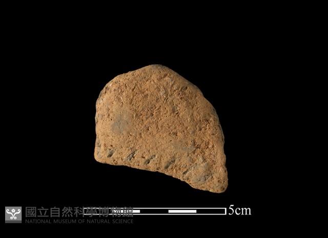 陶把藏品圖，第1張