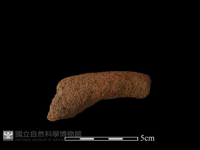 陶蓋鈕藏品圖，第2張