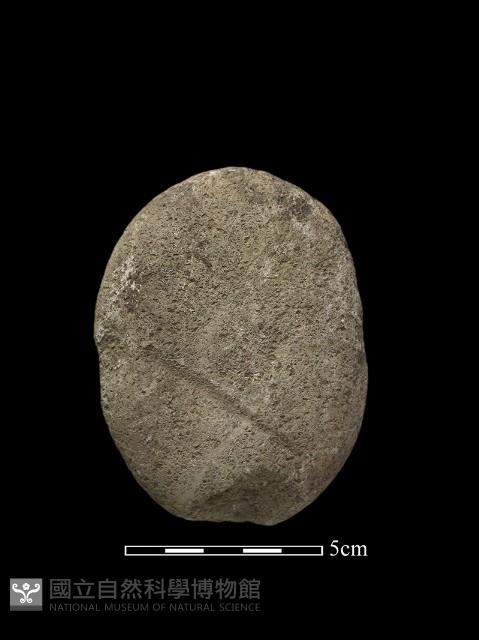 石鎚藏品圖，第2張