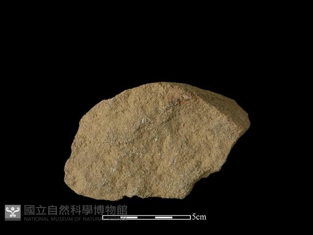 石片器藏品圖，第2張