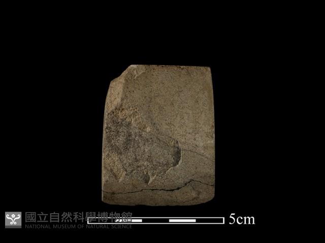 錛鑿形器藏品圖，第2張