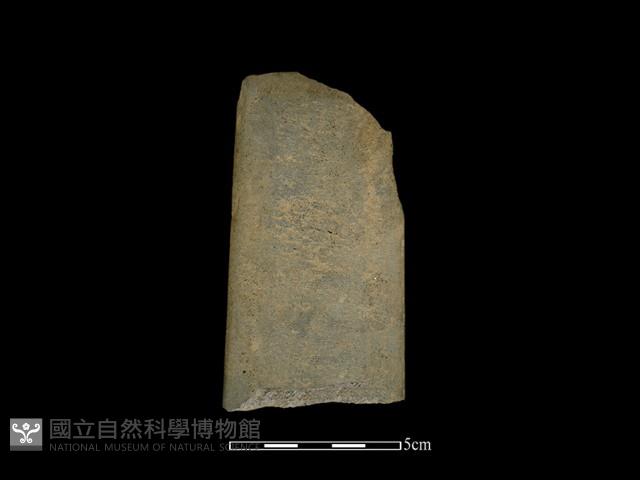 磨製有刃石器藏品圖，第2張