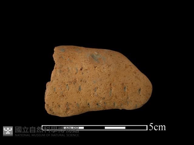 陶片藏品圖，第1張