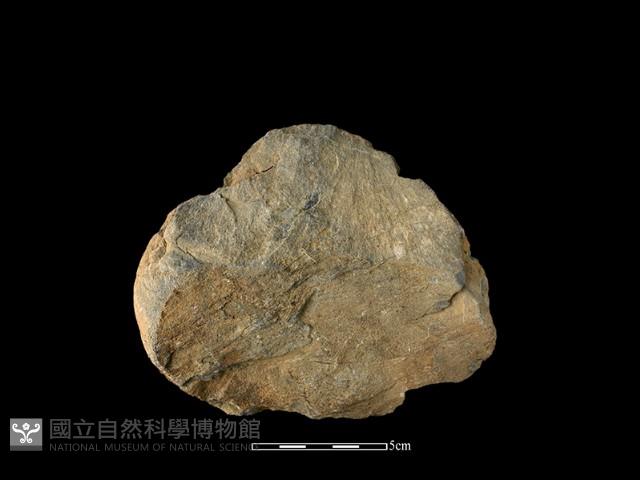 石片器藏品圖，第2張