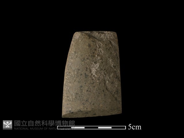 錛鑿形器藏品圖，第2張