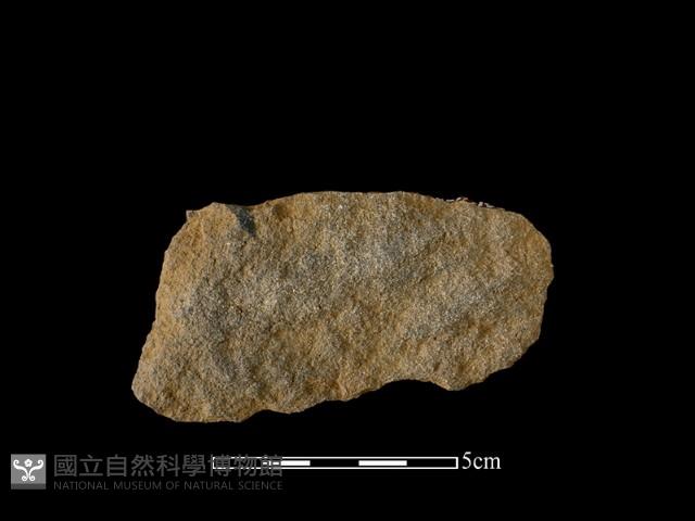 石片器藏品圖，第2張