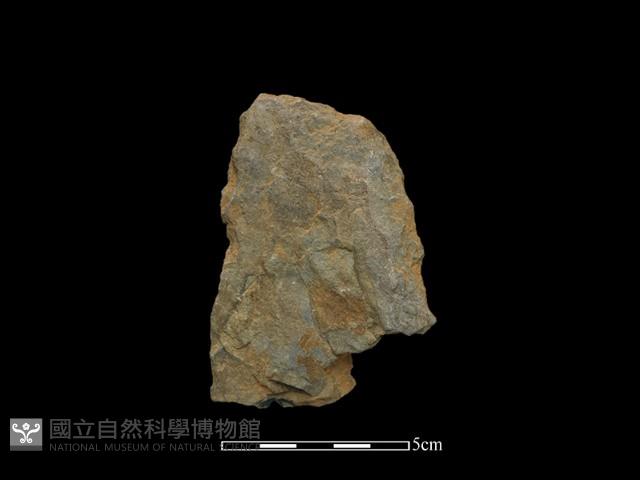 Accession Number:BY-2016-138 Collection Image, Figure 1, Total 2 Figures