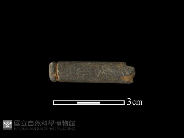 網墜藏品圖，第1張