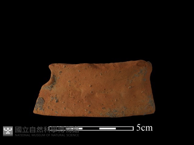 陶片藏品圖，第2張