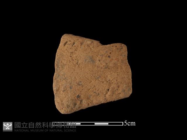 陶把藏品圖，第1張