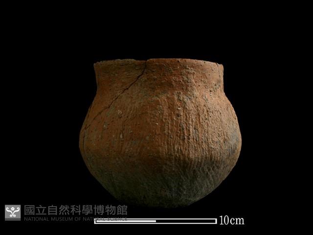 陶罐藏品圖，第5張