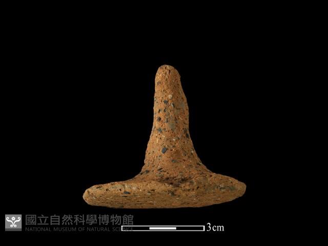 陶蓋鈕藏品圖，第5張