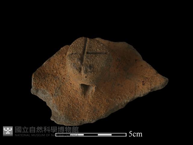 陶蓋鈕藏品圖，第4張