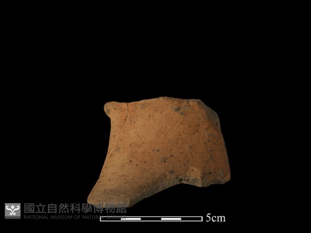 陶片藏品圖，第1張