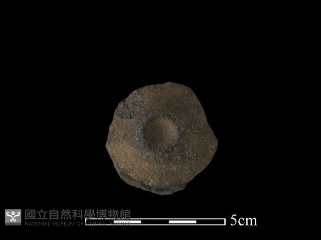 陶蓋鈕藏品圖，第4張