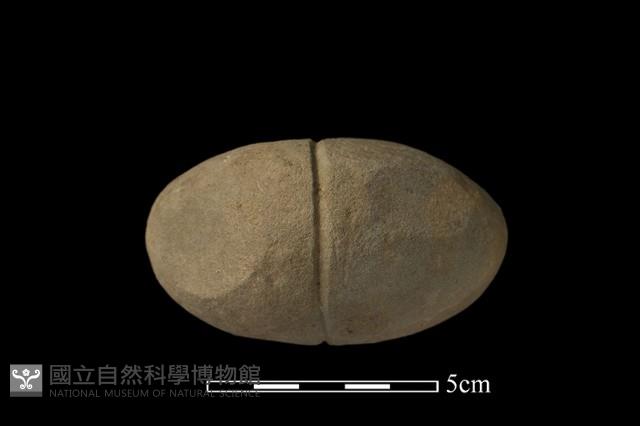 網墜藏品圖，第4張